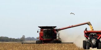 agroalimentos