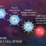 WhatsApp Image 2026-02-20 at 4.10.48 PM